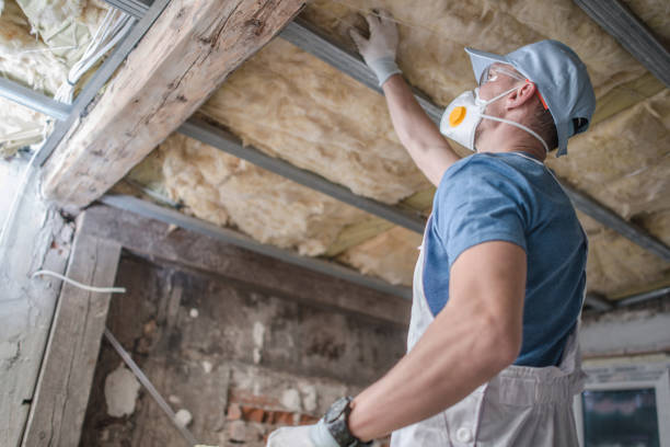 Best Spray Foam Insulation in Orlovista, FL