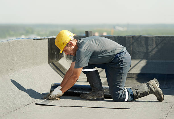 Best Fiberglass Insulation in Orlovista, FL