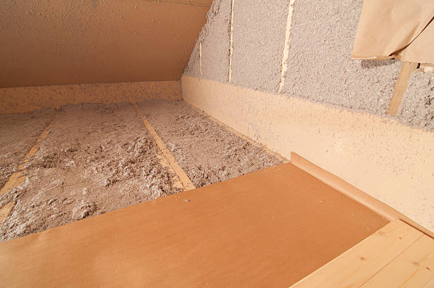 Best Residential Insulation in Orlovista, FL