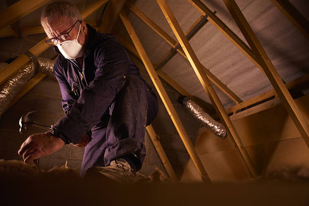 Best Blown-in Insulation in Orlovista, FL